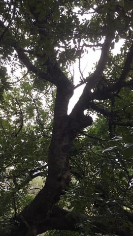 1 soveværelse Byhus til salg i El Pinar - € 52.300 (Ref: 6842882)