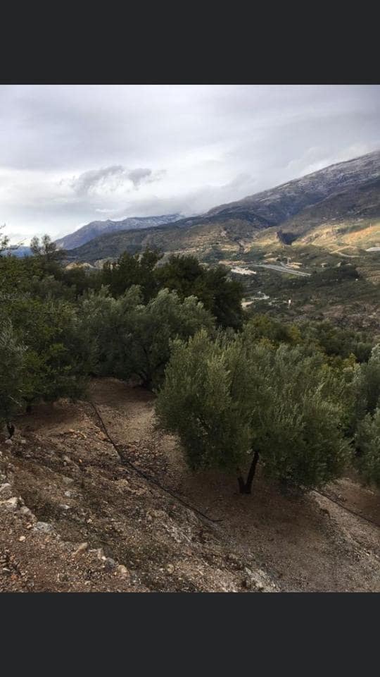 1 soveværelse Byhus til salg i El Pinar - € 52.300 (Ref: 6842882)