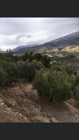 1 soveværelse Byhus til salg i El Pinar - € 52.300 (Ref: 6842882)