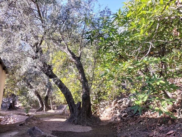 1 soveværelse Byhus til salg i El Pinar - € 52.300 (Ref: 6842882)