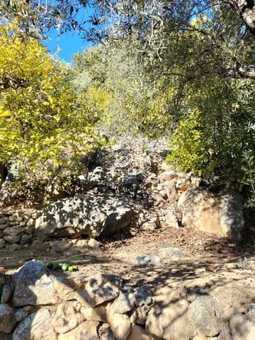 1 soveværelse Byhus til salg i El Pinar - € 52.300 (Ref: 6842882)