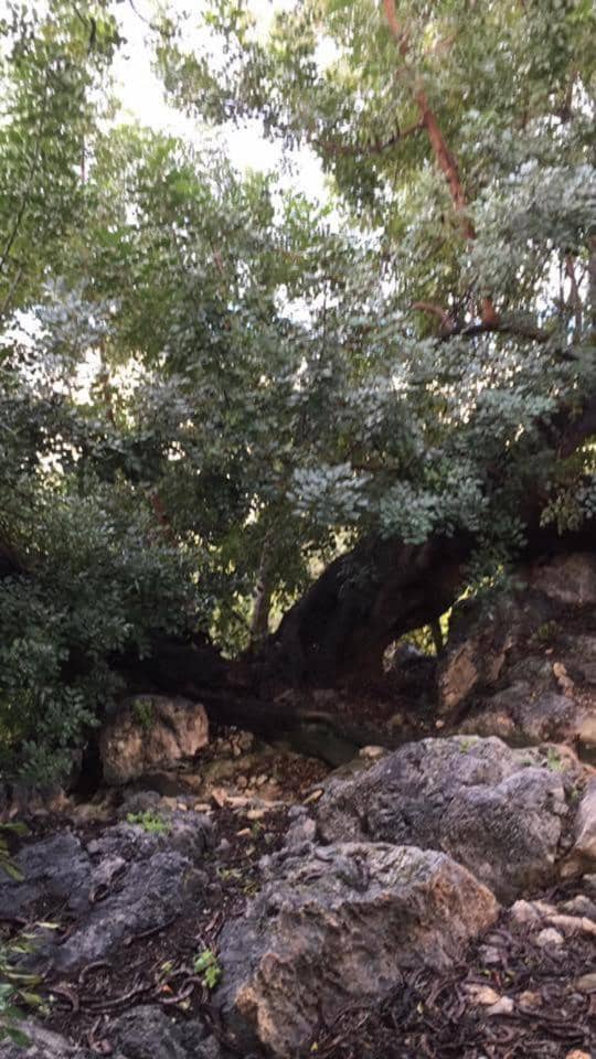 1 soveværelse Byhus til salg i El Pinar - € 52.300 (Ref: 6842882)