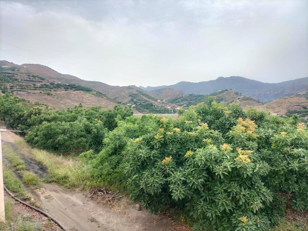 3 sovrum Hus till salu i Almunecar - 240 000 € (Ref: 6958731)