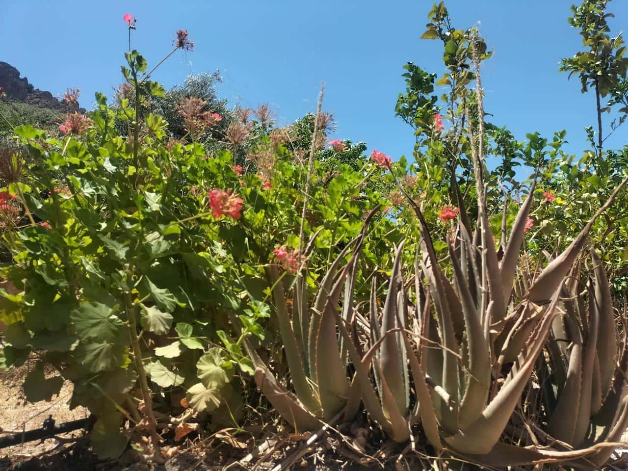 5 soveværelse Byhus til salg i Izbor - € 224.980 (Ref: 6995128)