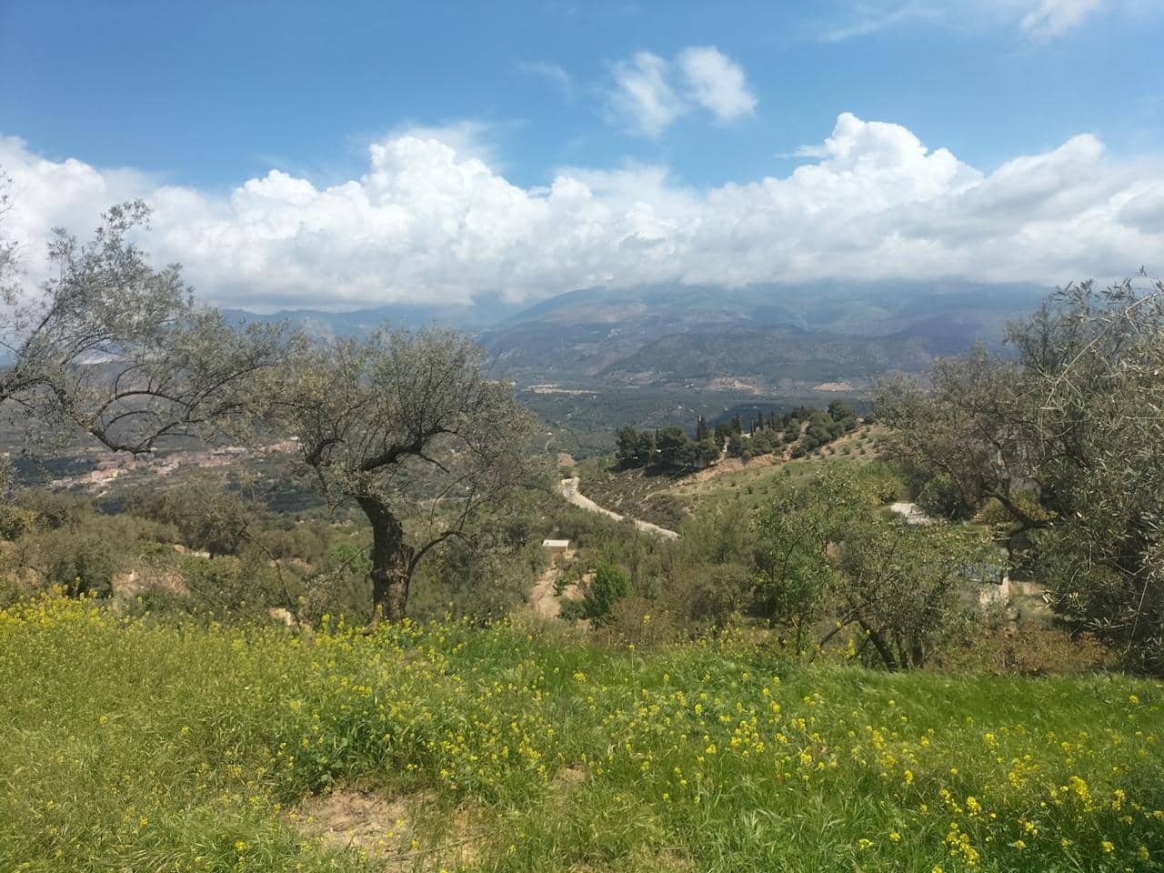 Finca/Landehus til salg i El Valle - € 38.100 (Ref: 7029789)