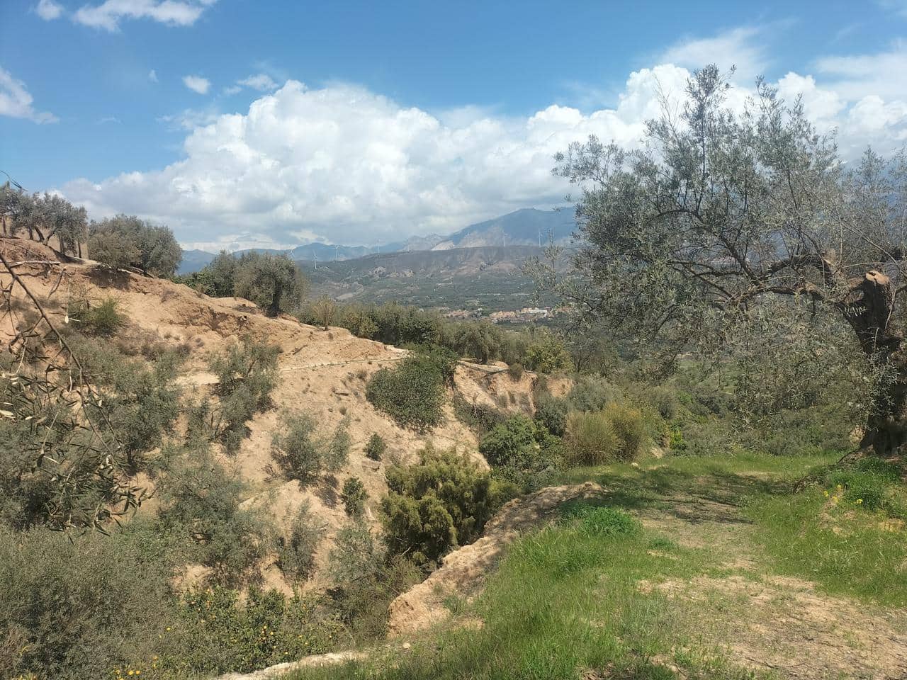 Finca/Landehus til salg i El Valle - € 38.100 (Ref: 7029789)