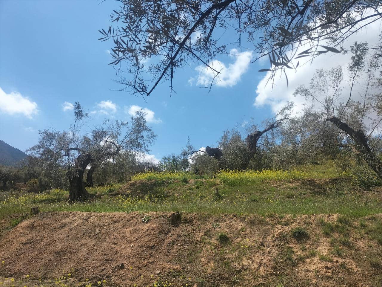 Finca/Landehus til salg i El Valle - € 38.100 (Ref: 7029789)