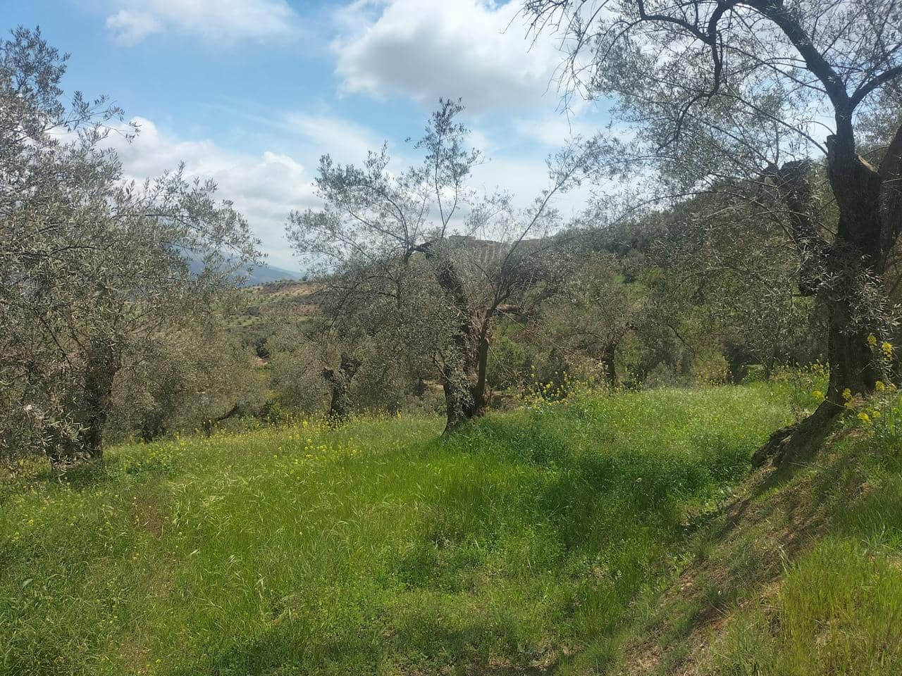 Finca/Landehus til salg i El Valle - € 38.100 (Ref: 7029789)