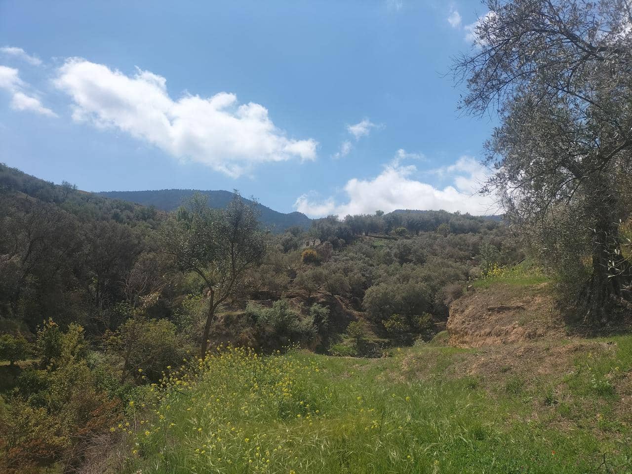 Finca/Landehus til salg i El Valle - € 38.100 (Ref: 7029789)