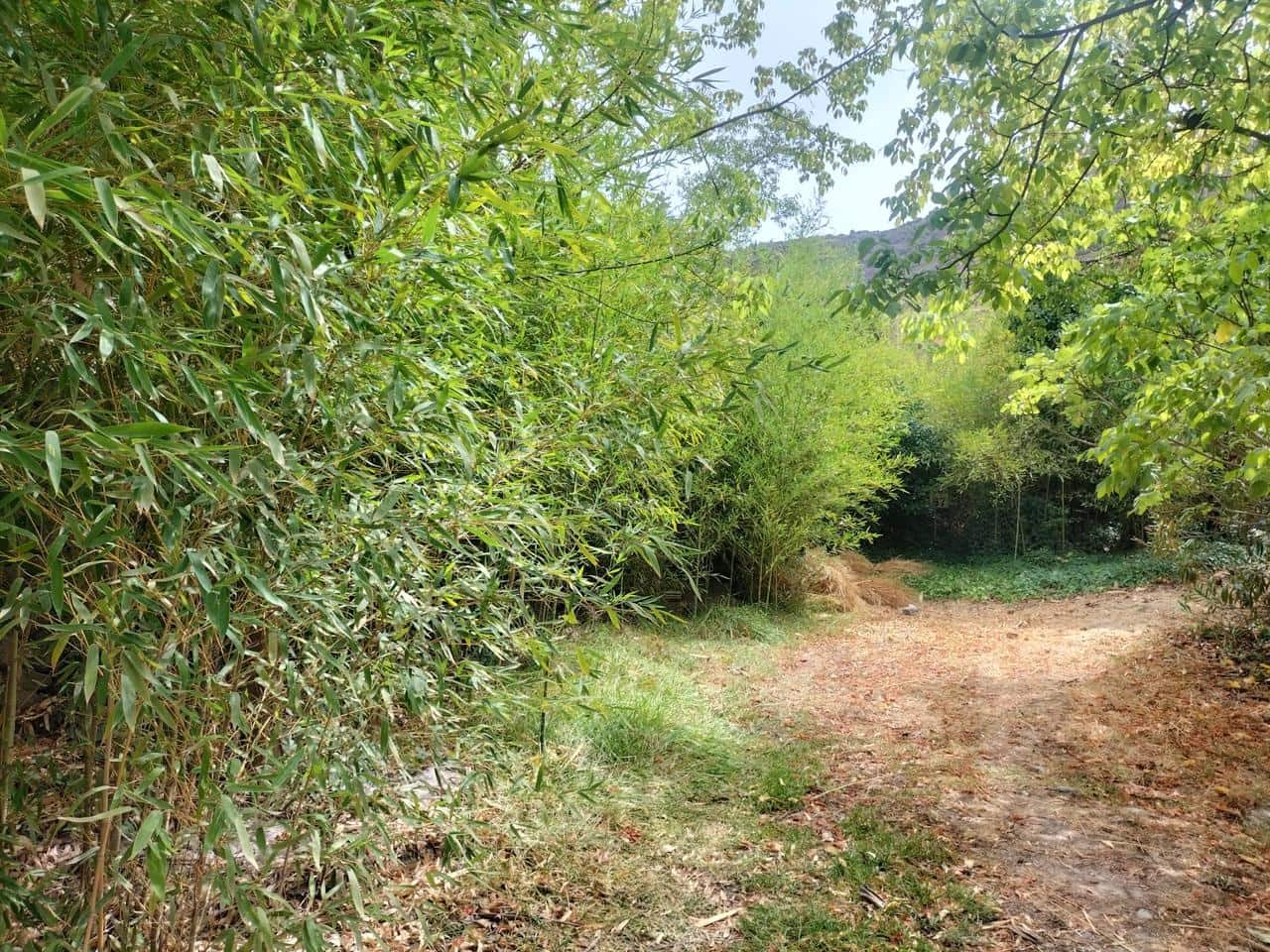 Finca/Casa di Campagna in vendita in Lecrin - 77.200 € (Rif: 7131151)