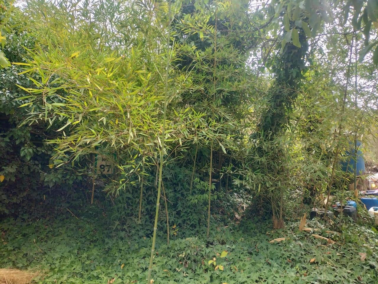 Finca/Casa di Campagna in vendita in Lecrin - 77.200 € (Rif: 7131151)