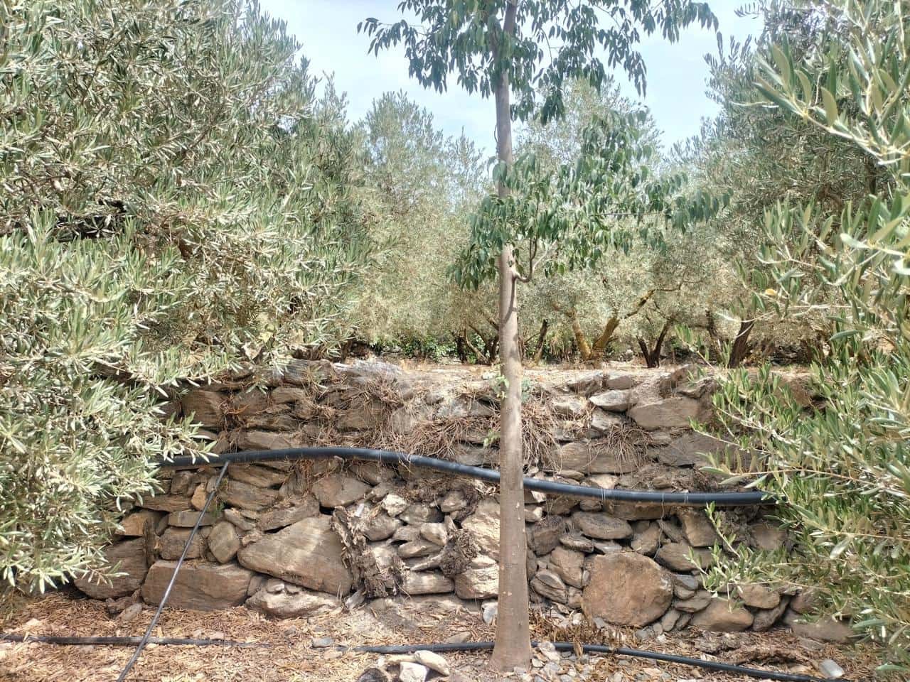 Finca/Casa di Campagna in vendita in Lecrin - 77.200 € (Rif: 7131151)