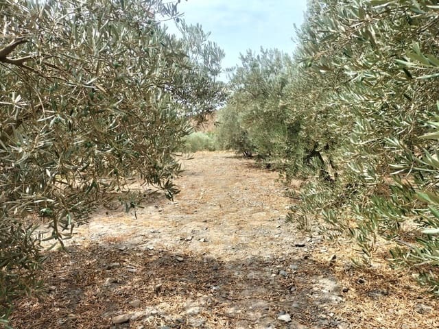 Finca/Casa di Campagna in vendita in Lecrín - 77.200 € (Rif: 7131151)