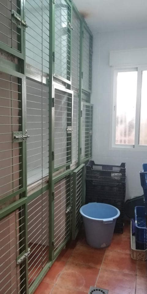 4 soveværelse Byhus til salg i Durcal - € 398.500 (Ref: 7478419)