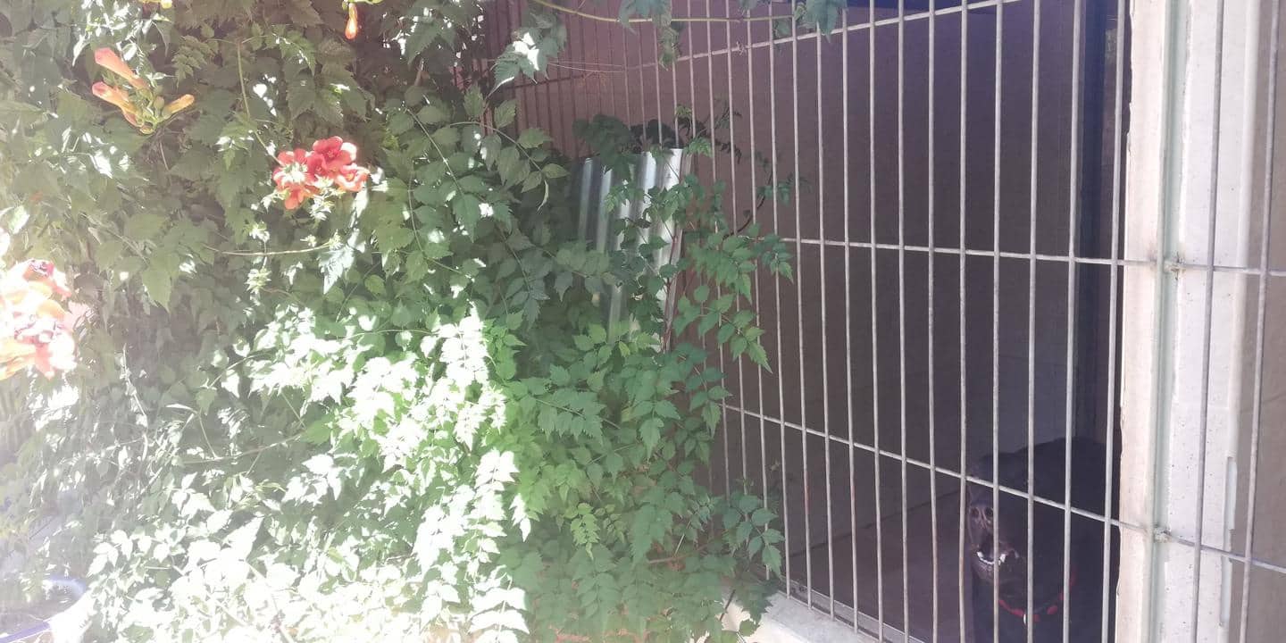 4 soveværelse Byhus til salg i Durcal - € 398.500 (Ref: 7478419)