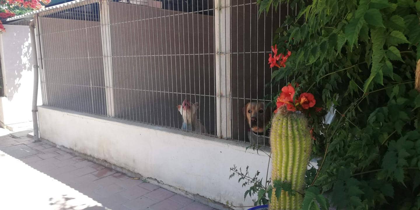 4 soveværelse Byhus til salg i Durcal - € 398.500 (Ref: 7478419)