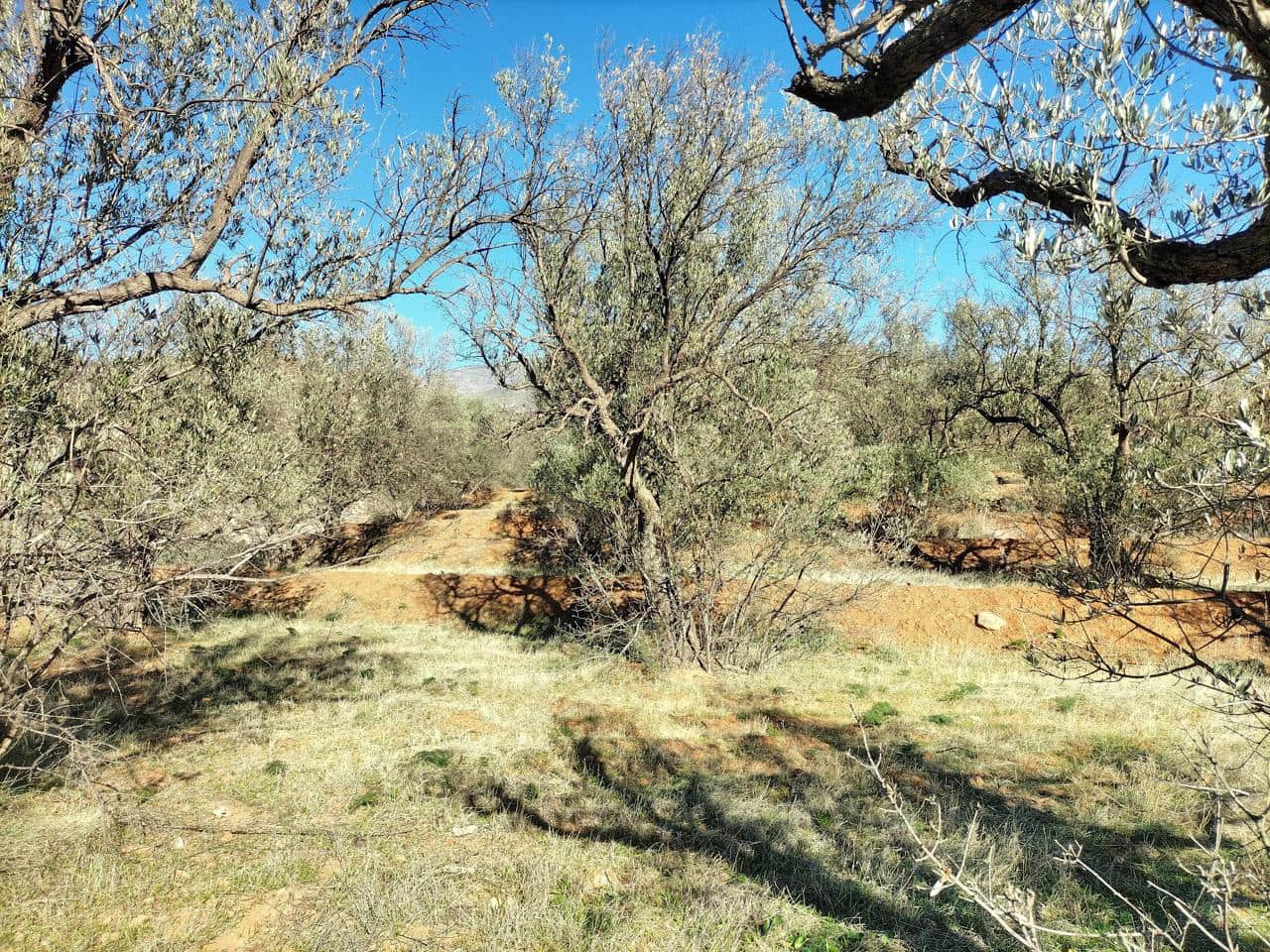 Finca/Landgut zu verkaufen in Lecrin - 75.000 € (Ref: 7545944)