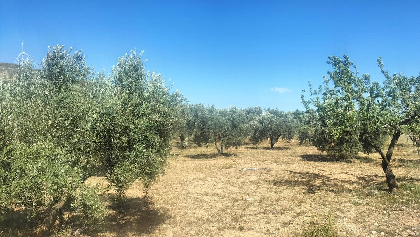 Finca/Hus på landet till salu i Albunuelas - 29 990 € (Ref: 7617982)