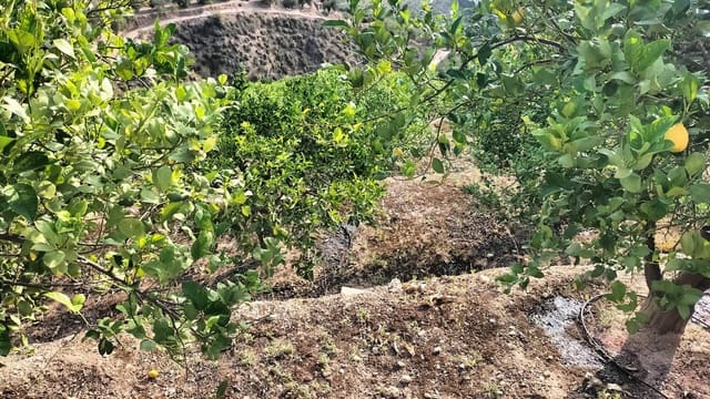 Finca/Landehus til salg i El Valle - € 47.500 (Ref: 7687503)