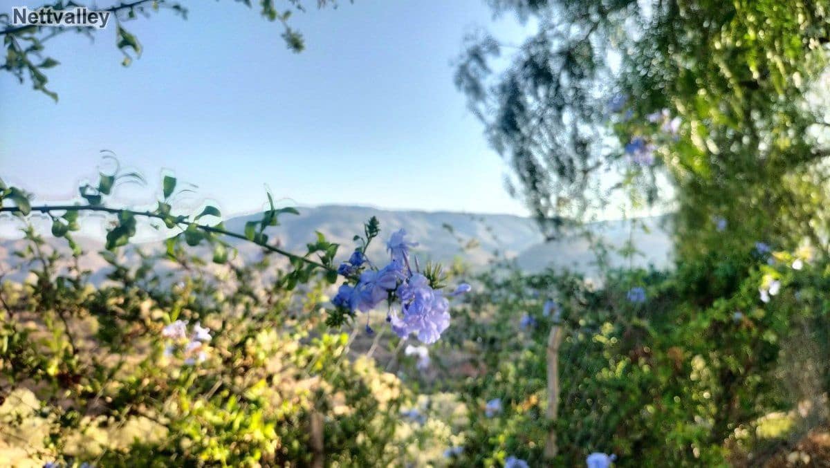 7 soveværelse Byhus til salg i El Pinar - € 272.100 (Ref: 7737223)