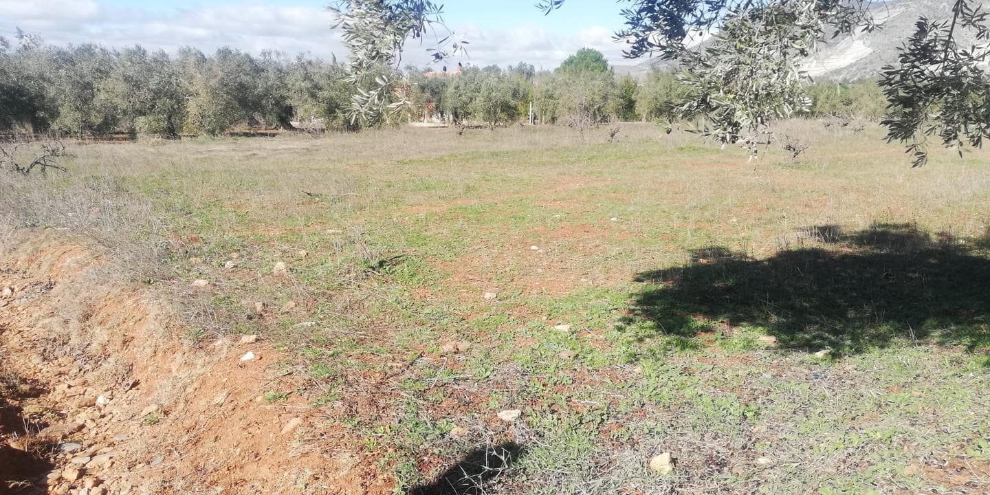 Finca/Landehus til salg i Marchena - € 18.900 (Ref: 7820998)