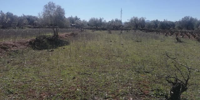 Finca/Herregård til salgs i Marchena, Dúrcal - € 18 900 (Ref: 7820998)