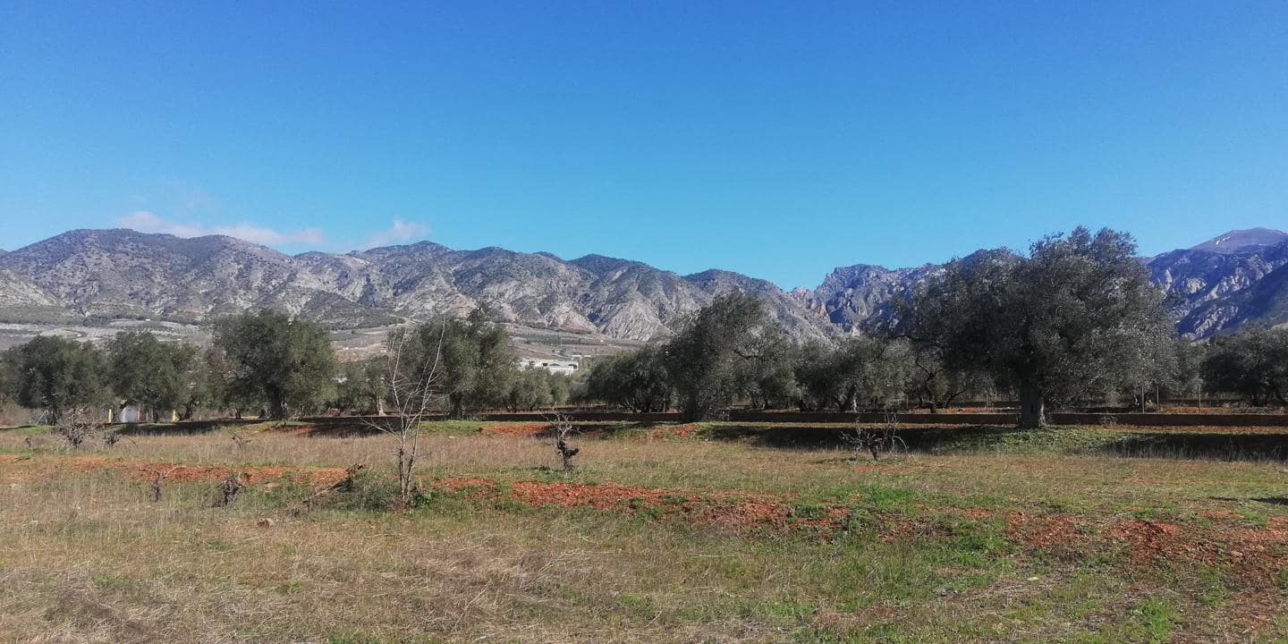 Finca/Landehus til salg i Marchena - € 18.900 (Ref: 7820998)