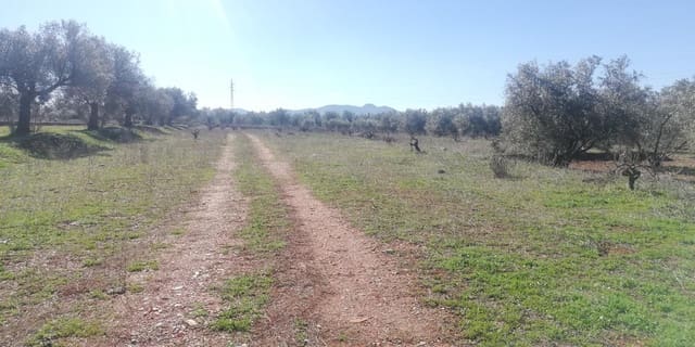 Finca/Herregård til salgs i Marchena, Dúrcal - € 18 900 (Ref: 7820998)