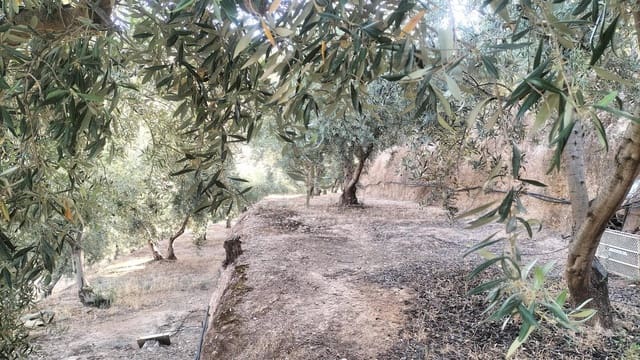 2 soveværelse Byhus til salg i El Pinar - € 118.700 (Ref: 8008038)