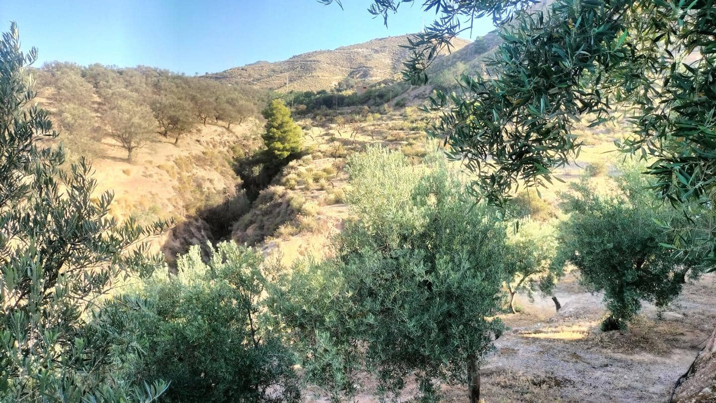 2 soveværelse Byhus til salg i El Pinar - € 118.700 (Ref: 8008038)