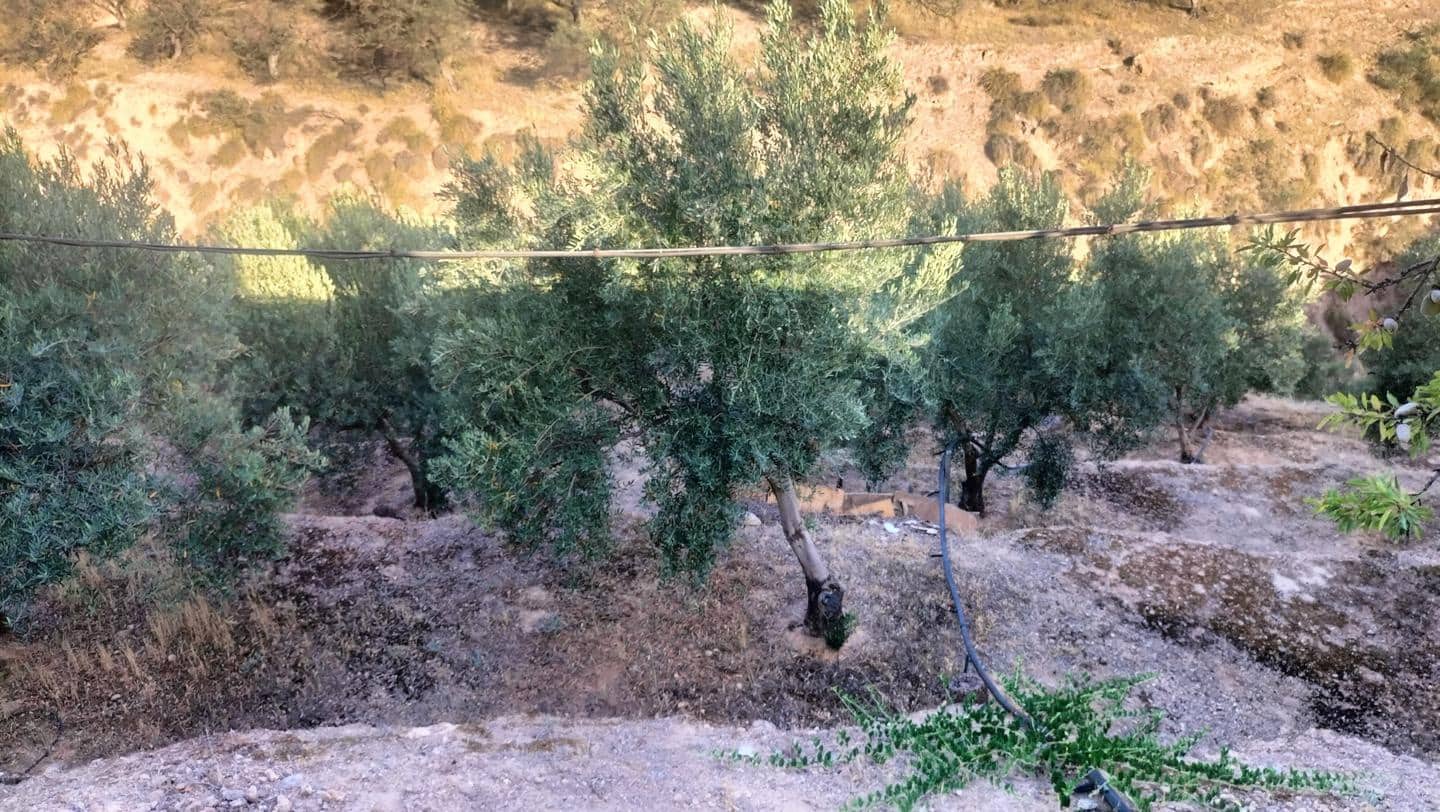 2 soveværelse Byhus til salg i El Pinar - € 118.700 (Ref: 8008038)