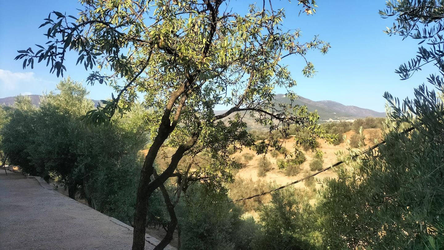 2 soveværelse Byhus til salg i El Pinar - € 118.700 (Ref: 8008038)