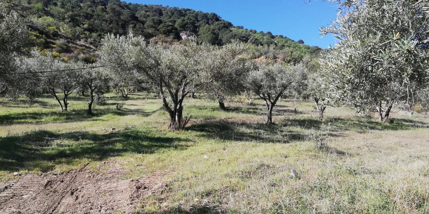 2 quarto Casa em Banda para venda em El Pinar - 200 000 € (Ref: 8011077)