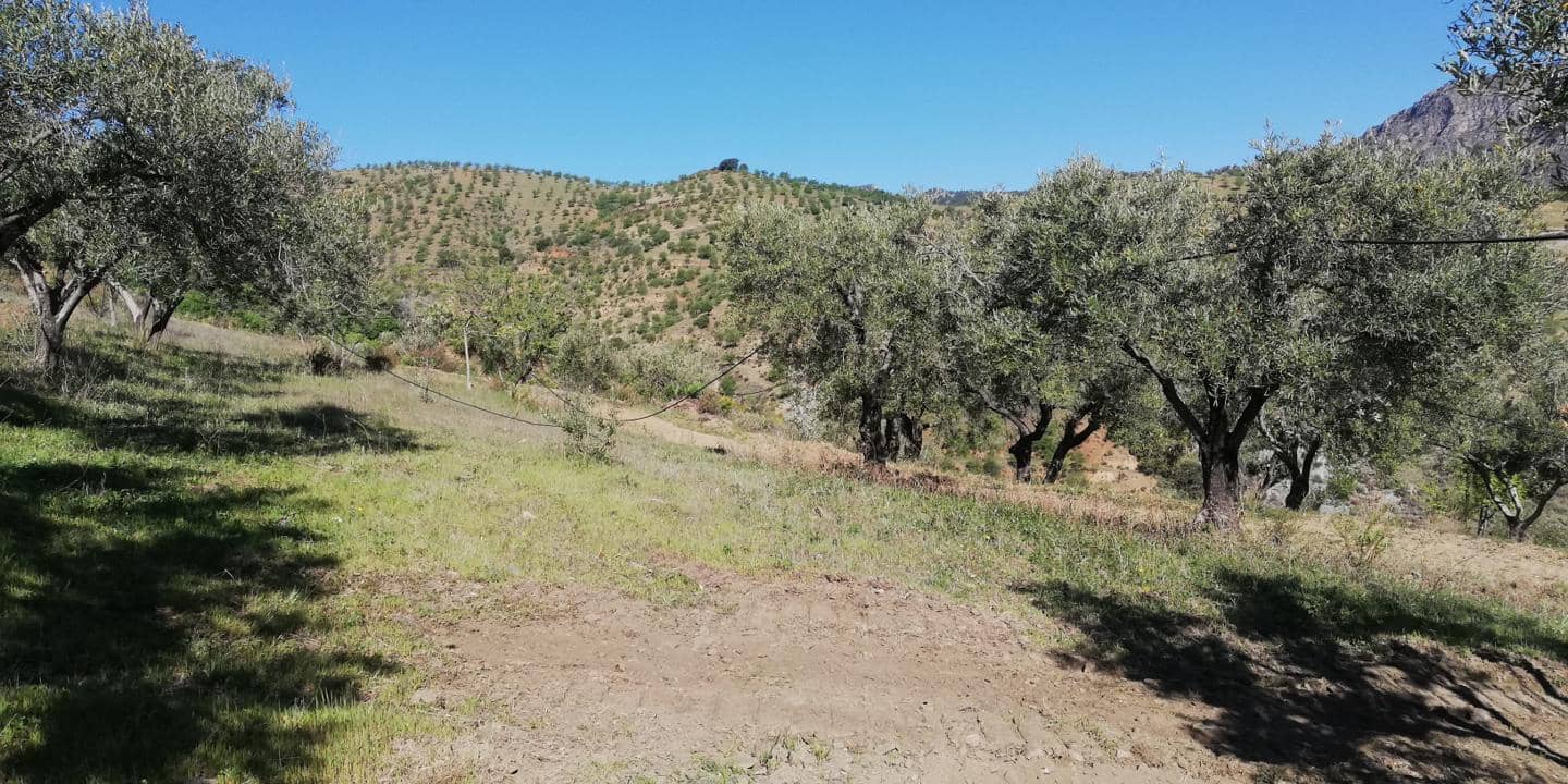 2 quarto Casa em Banda para venda em El Pinar - 200 000 € (Ref: 8011077)