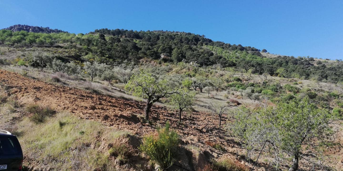 2 quarto Casa em Banda para venda em El Pinar - 200 000 € (Ref: 8011077)