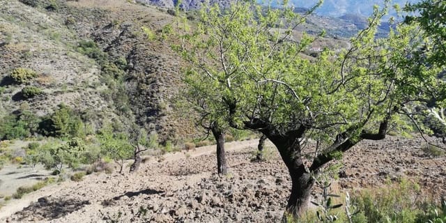 2 soveværelse Byhus til salg i El Pinar - € 200.000 (Ref: 8011077)