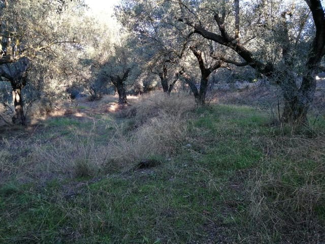 Finca/Landehus til salg i Dúrcal - € 24.600 (Ref: 8011079)