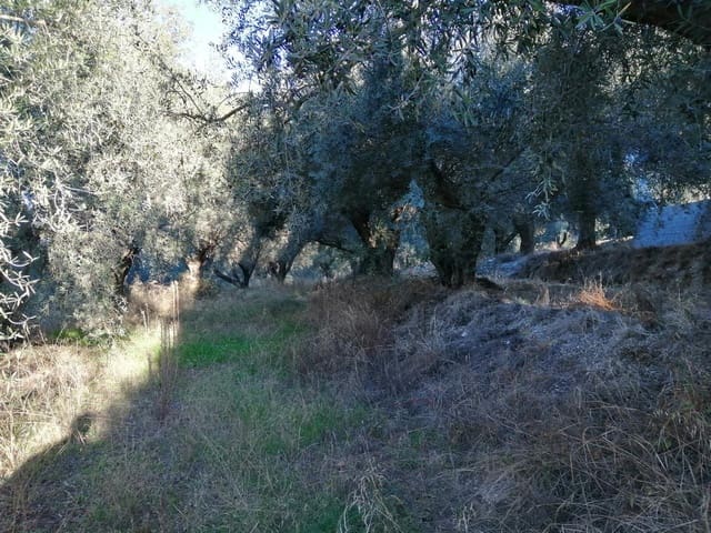 Finca/Landehus til salg i Dúrcal - € 24.600 (Ref: 8011079)