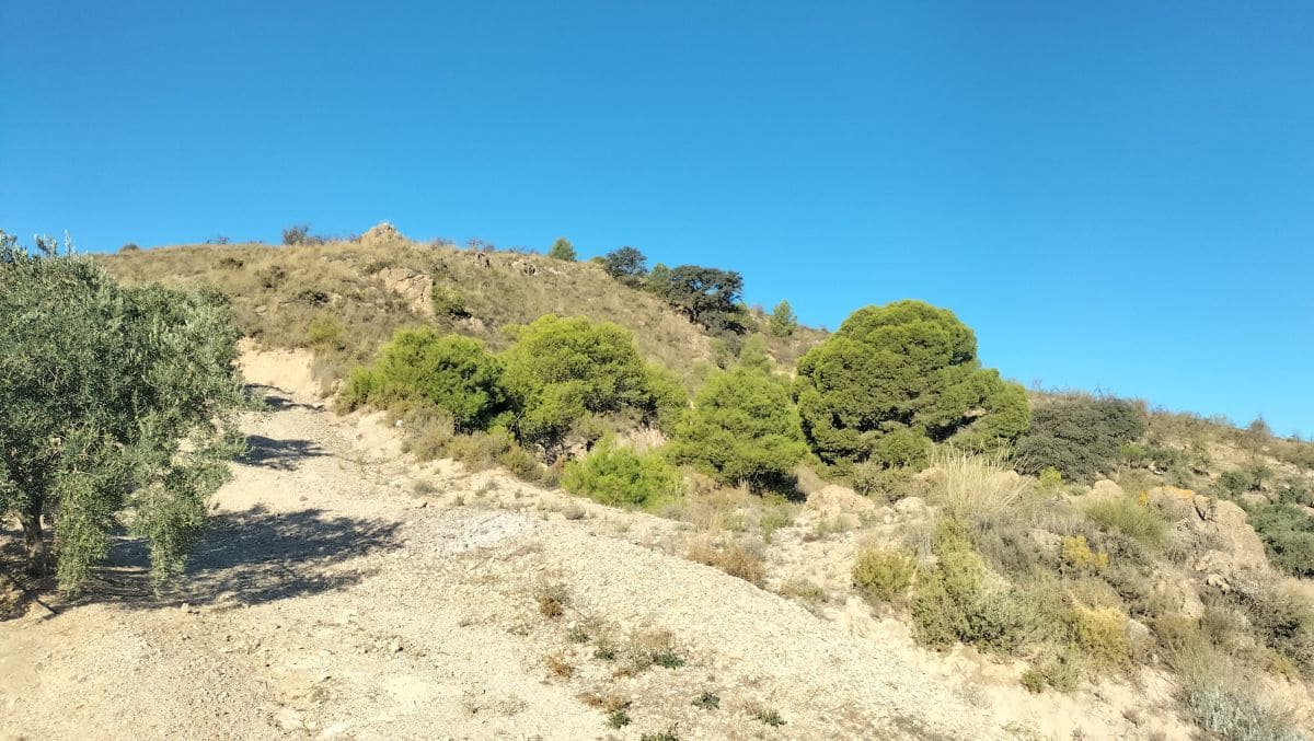 Finca/Casa Rural en Pinos del Valle, El Pinar en venta 125.000 € (Ref