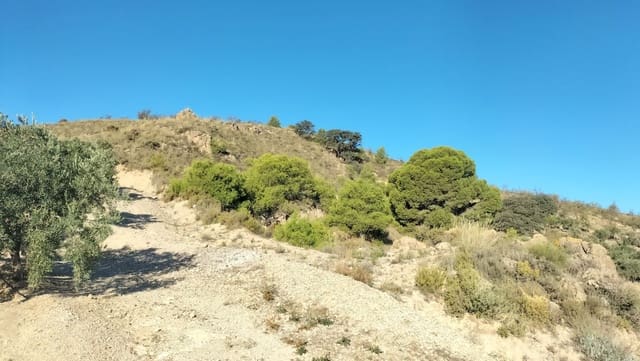 Finca/Landgut zu verkaufen in Pinos del Valle, El Pinar - 125.000 € (Ref: 8016358)