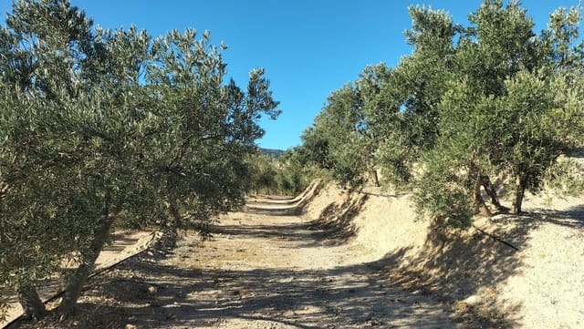 Finca/Landgut zu verkaufen in Pinos del Valle, El Pinar - 125.000 € (Ref: 8016358)