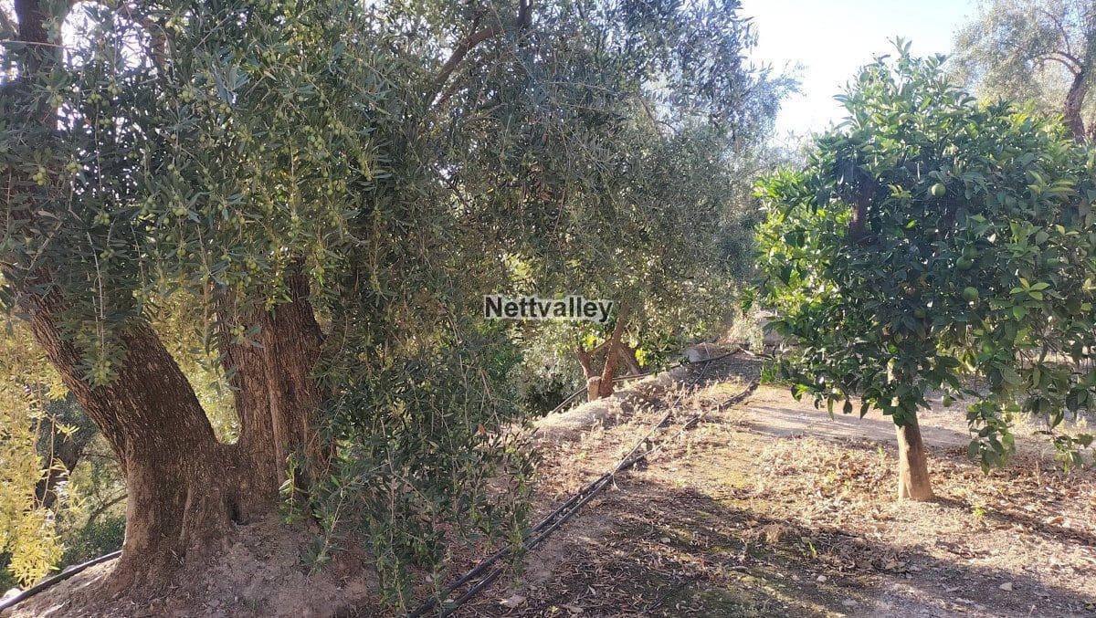 Finca/Maison de Campagne à vendre à Pinos del Valle - 38 000 € (Ref: 8052125)