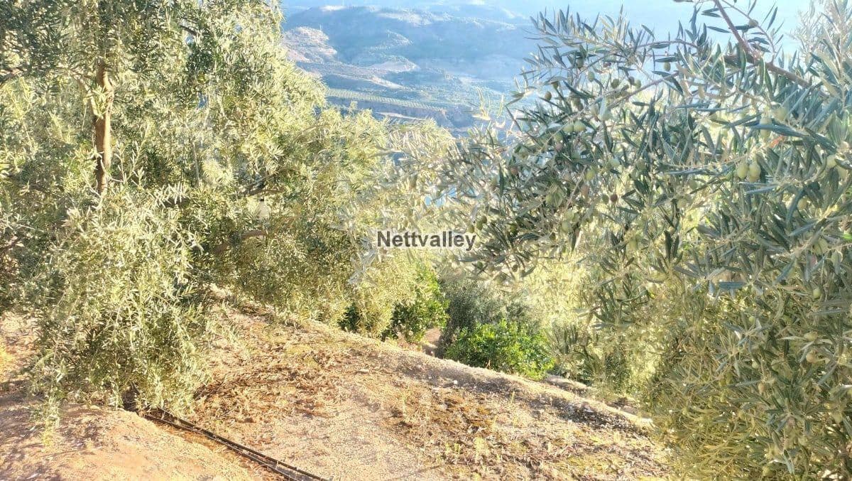 Finca/Maison de Campagne à vendre à Pinos del Valle - 38 000 € (Ref: 8052125)