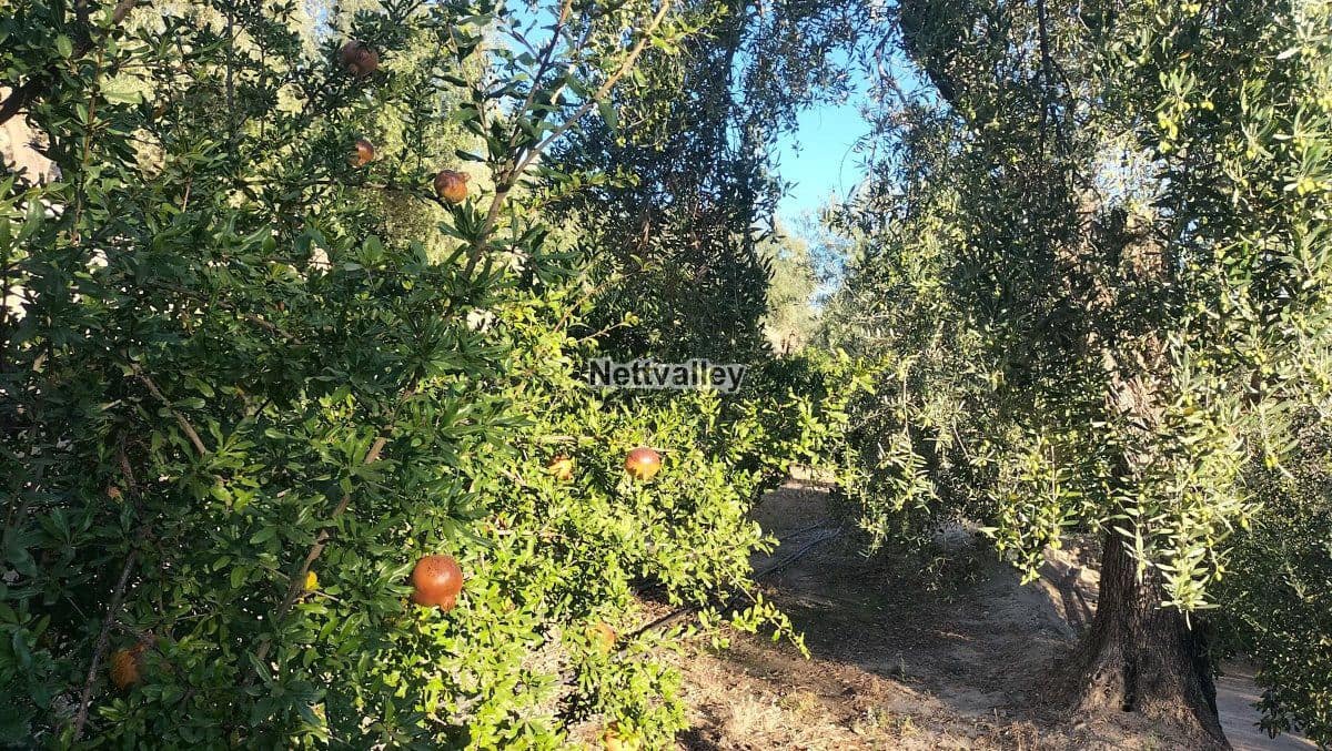 Finca/Maison de Campagne à vendre à Pinos del Valle - 38 000 € (Ref: 8052125)