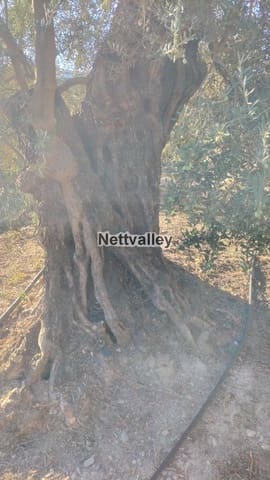 Finca/Landgut zu verkaufen in Pinos del Valle, El Pinar - 65.000 € (Ref: 8052126)