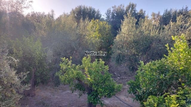 Finca/Landgut zu verkaufen in Pinos del Valle, El Pinar - 65.000 € (Ref: 8052126)