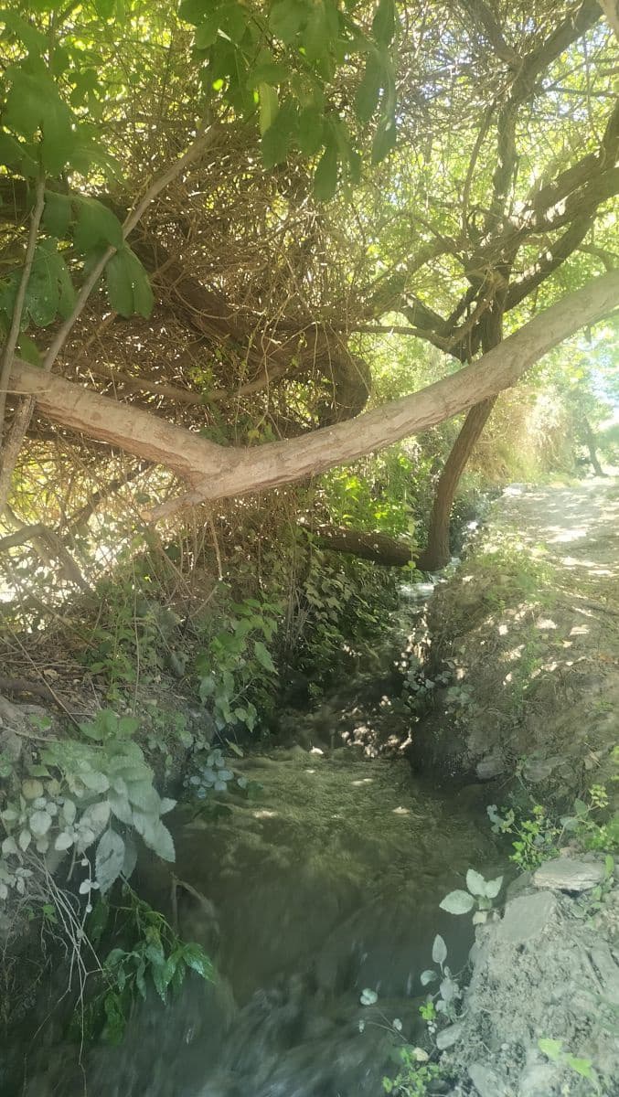 1 soveværelse Byhus til salg i Durcal - € 150.000 (Ref: 8383018)