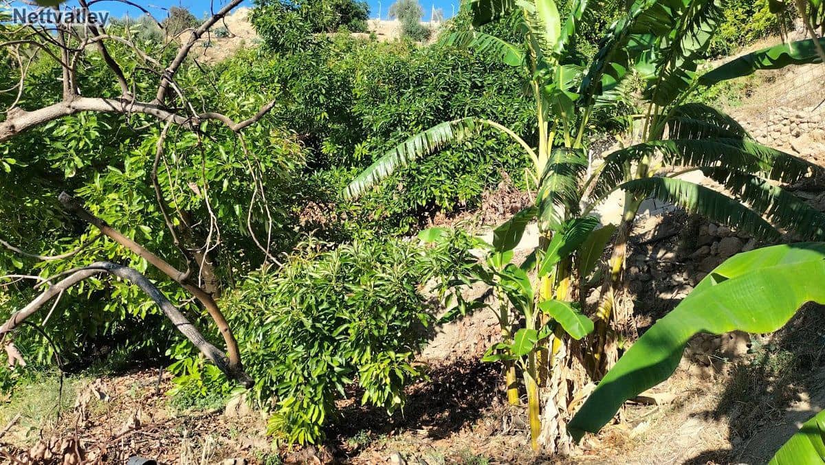 Finca/Landehus til salg i Pinos del Valle - € 42.000 (Ref: 8392602)