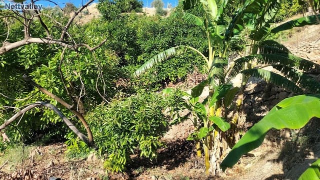 Finca/Landehus til salg i Pinos del Valle, El Pinar - € 42.000 (Ref: 8392602)