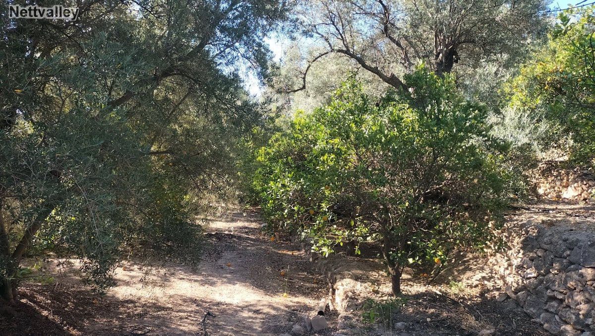 Finca/Landehus til salg i Pinos del Valle - € 42.000 (Ref: 8392603)